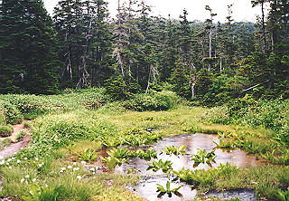 19920808_056_thumb.jpg