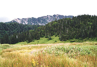 19920808_057_thumb.jpg