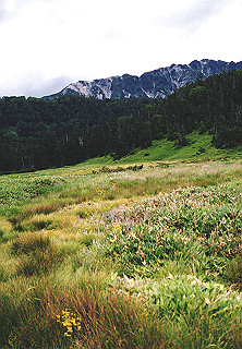 19920808_058_thumb.jpg