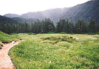 19920808_061_thumb.jpg