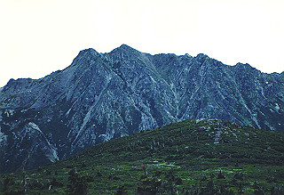 19920809_103_thumb.jpg