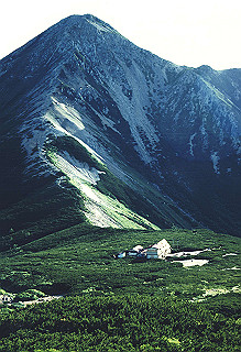 19920809_111_thumb.jpg