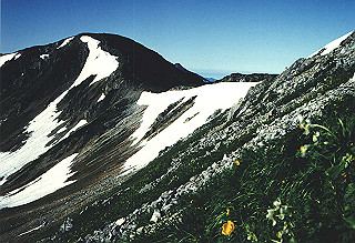 19920810_103_thumb.jpg