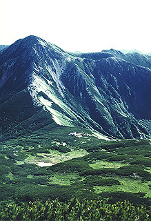 19920810_107_thumb.jpg