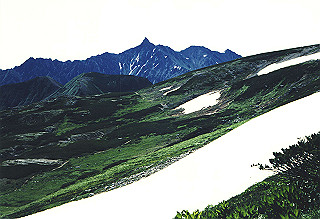 19920810_113_thumb.jpg