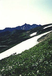 19920810_114_thumb.jpg
