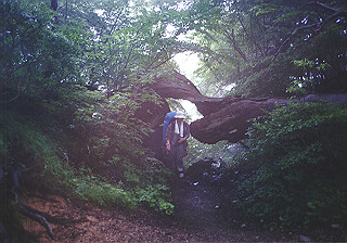 19930807_012_thumb.jpg