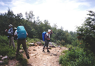 19930807_021_thumb.jpg