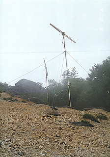 19930808_018_thumb.jpg