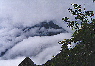 19930808_024_thumb.jpg