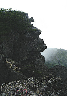 19930808_031_thumb.jpg