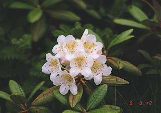 19930808_037_thumb.jpg