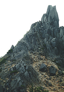 19930808_046_thumb.jpg