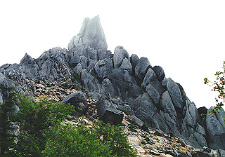 19930808_055_thumb.jpg
