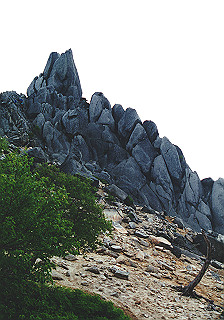 19930808_056_thumb.jpg