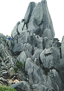 19930808_057_thumb.jpg