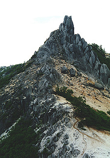19930808_062_thumb.jpg