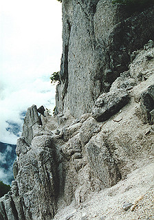 19930808_073_thumb.jpg