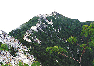 19930808_075_thumb.jpg