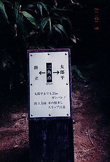 199408_006_thumb.jpg