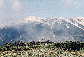 199408_011_thumb.jpg