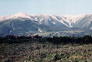 199408_012_thumb.jpg