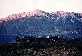 199408_015_thumb.jpg
