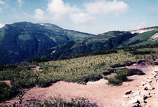 199408_018_thumb.jpg