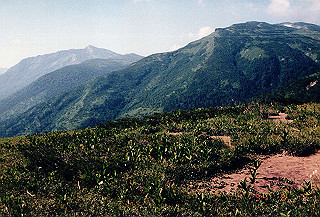 199408_019_thumb.jpg