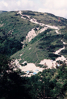 199408_021_thumb.jpg