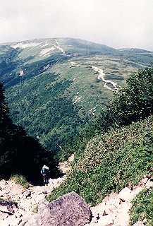 199408_023_thumb.jpg