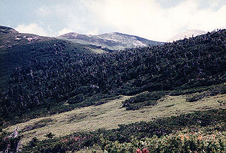 199408_024_thumb.jpg