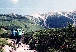 199408_031_thumb.jpg
