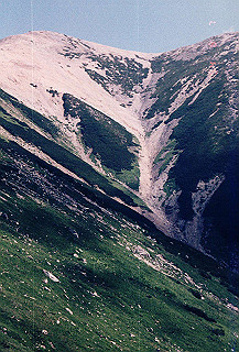 199408_032_thumb.jpg