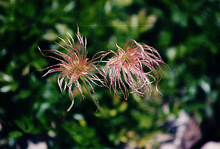 199408_040_thumb.jpg