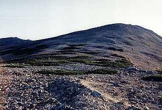 199408_052_thumb.jpg