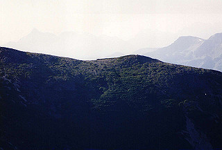 199408_053_thumb.jpg