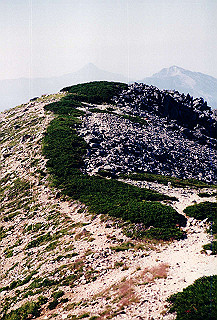 199408_066_thumb.jpg