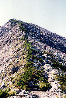 199408_072_thumb.jpg