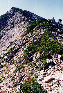 199408_073_thumb.jpg