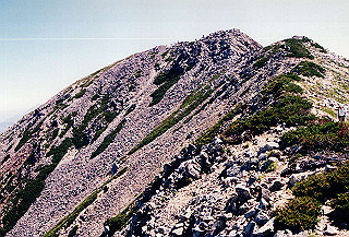 199408_082_thumb.jpg