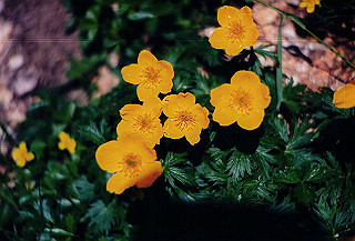 199408_094_thumb.jpg