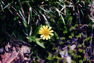 199408_096_thumb.jpg