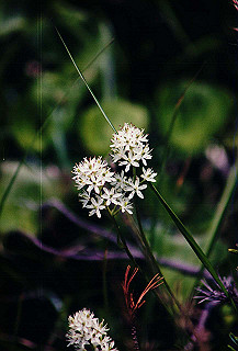 199408_101_thumb.jpg