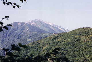 199408_109_thumb.jpg