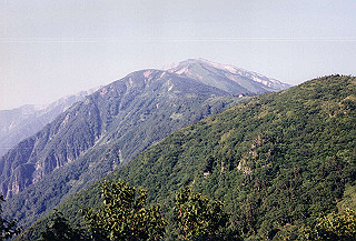 199408_110_thumb.jpg