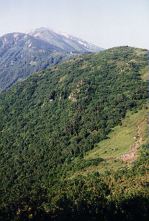 199408_111_thumb.jpg