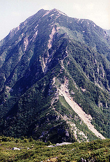 199408_121_thumb.jpg