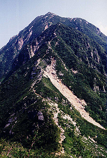 199408_122_thumb.jpg
