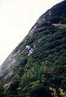 199408_136_thumb.jpg